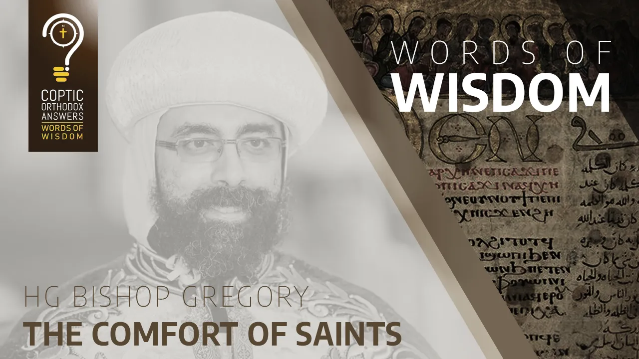 The Comfort of Saints